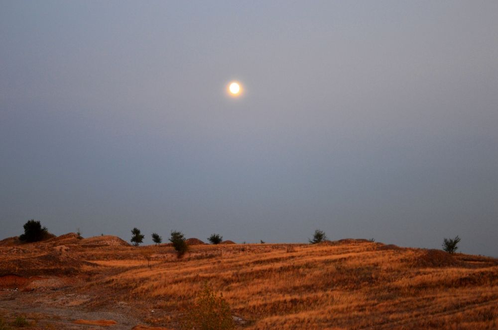 Осенний вечер в Оренбургской степи.