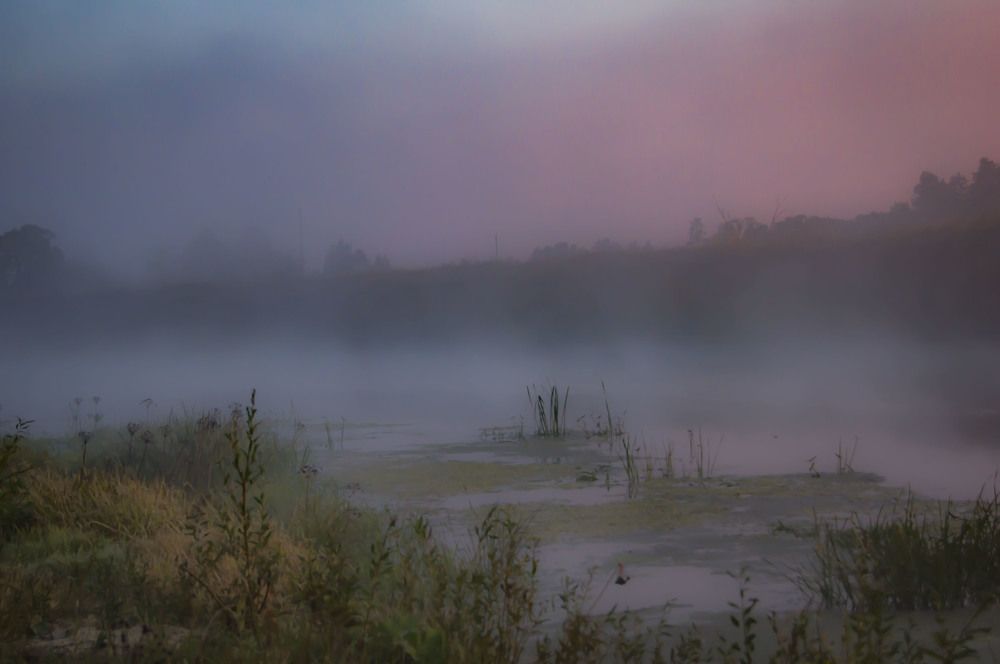 Photograph by Александр Натальин