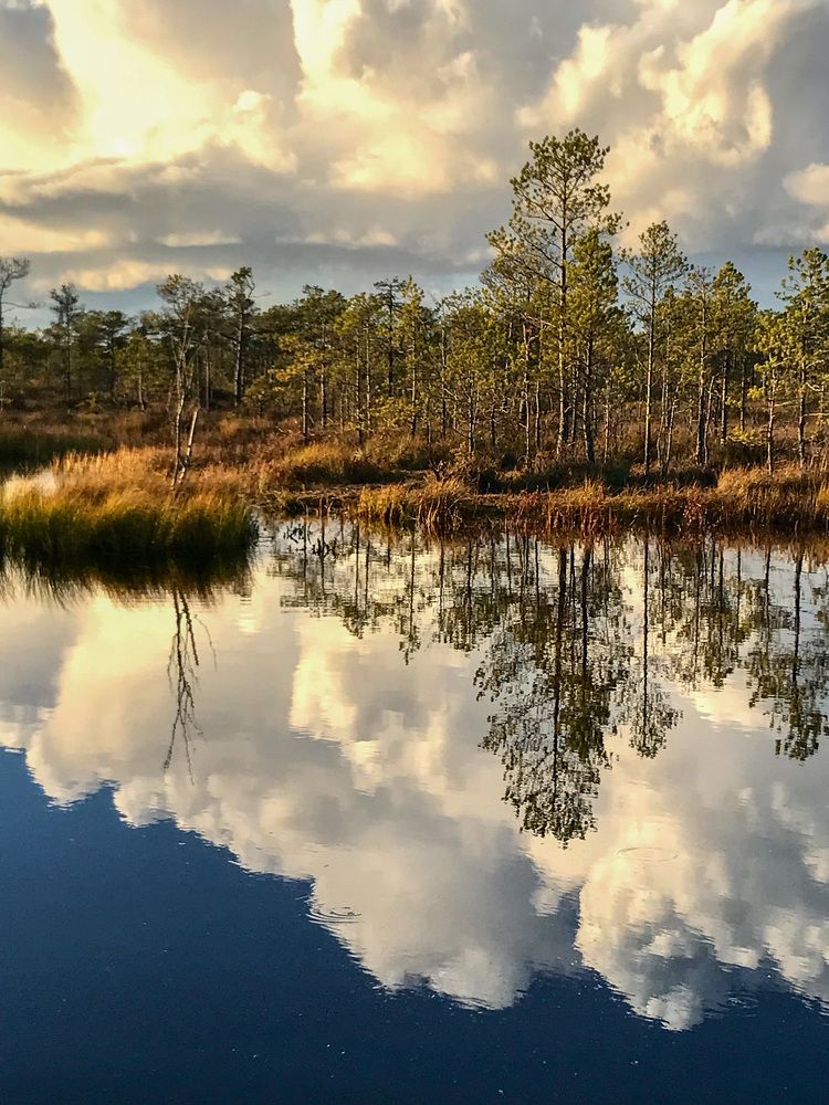 Фотография автора Лариса Гришкевич