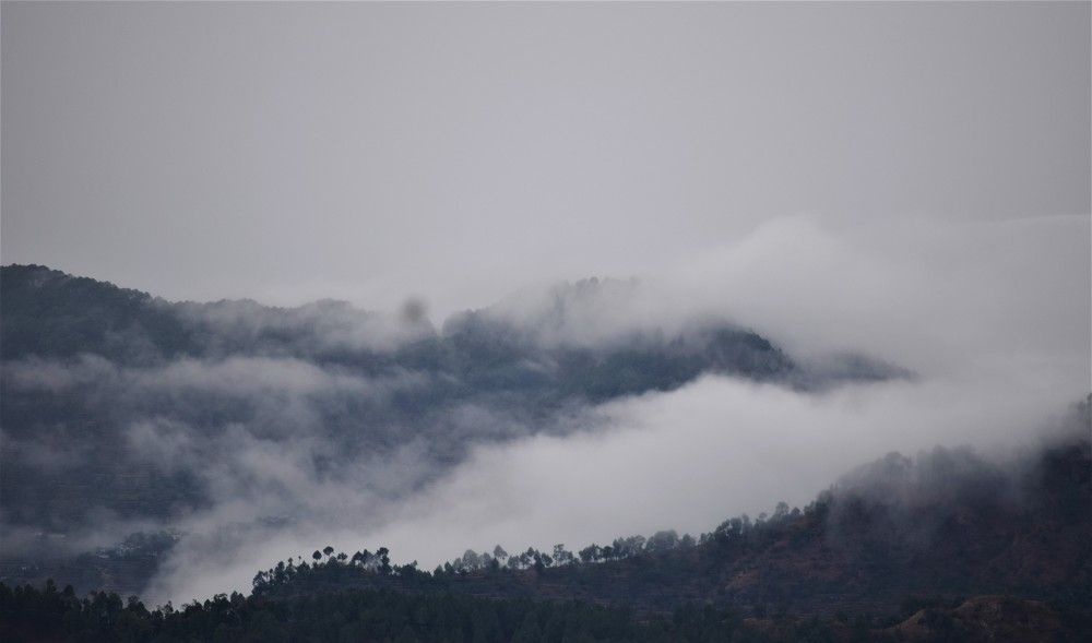 Photograph by Nalin Sahay