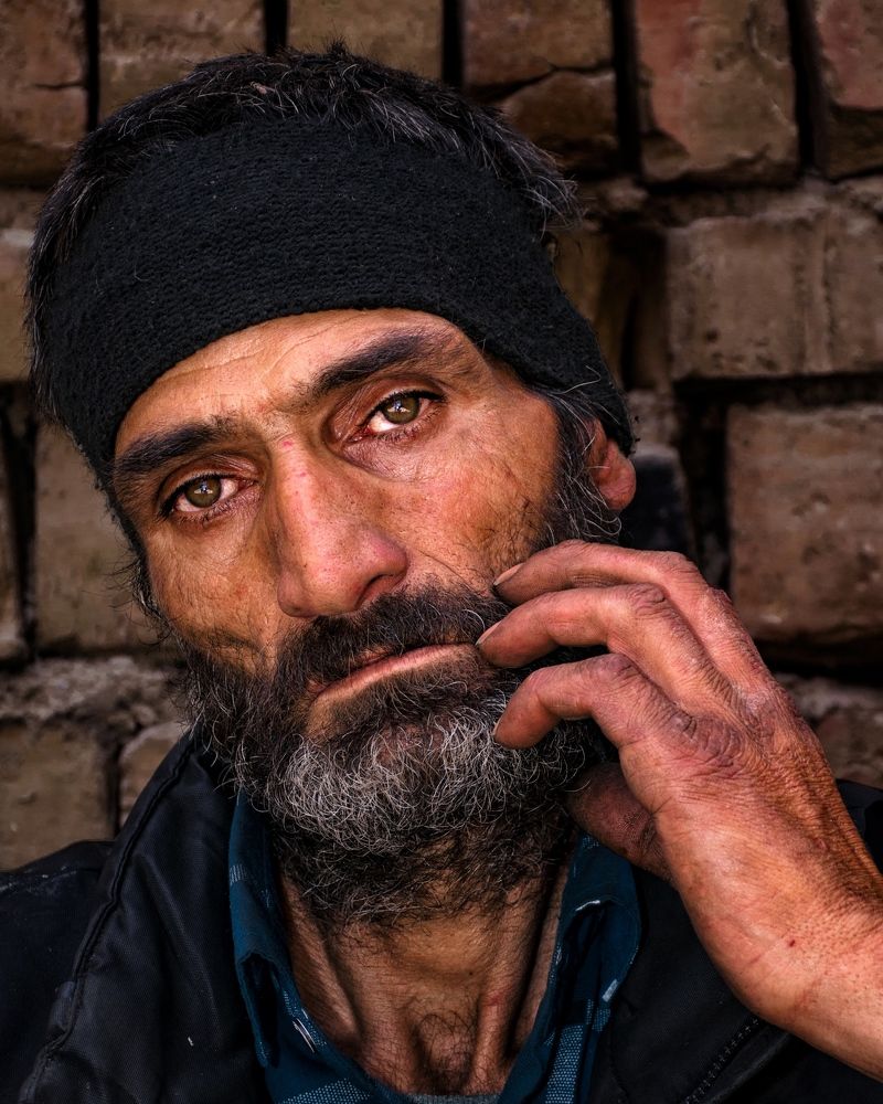 Photograph by mehdi shirvani