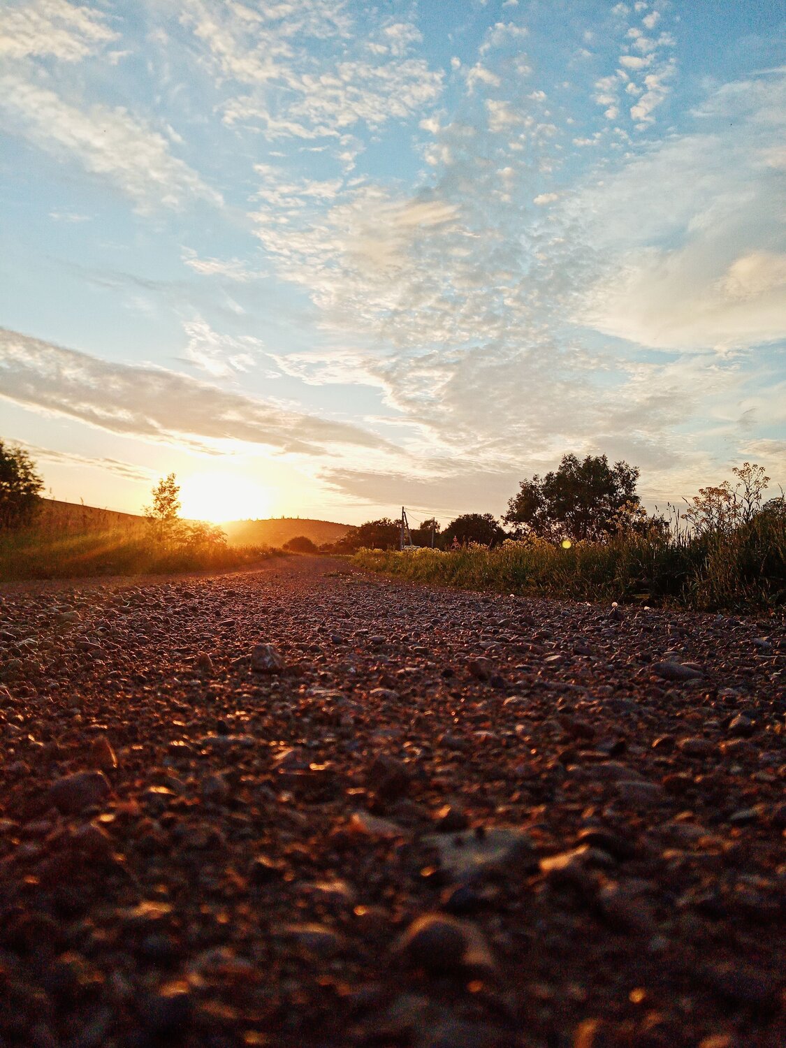 Photo #9311156