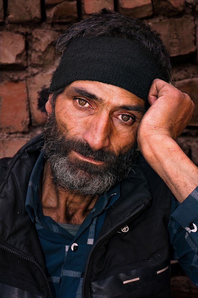 Photograph by mehdi shirvani