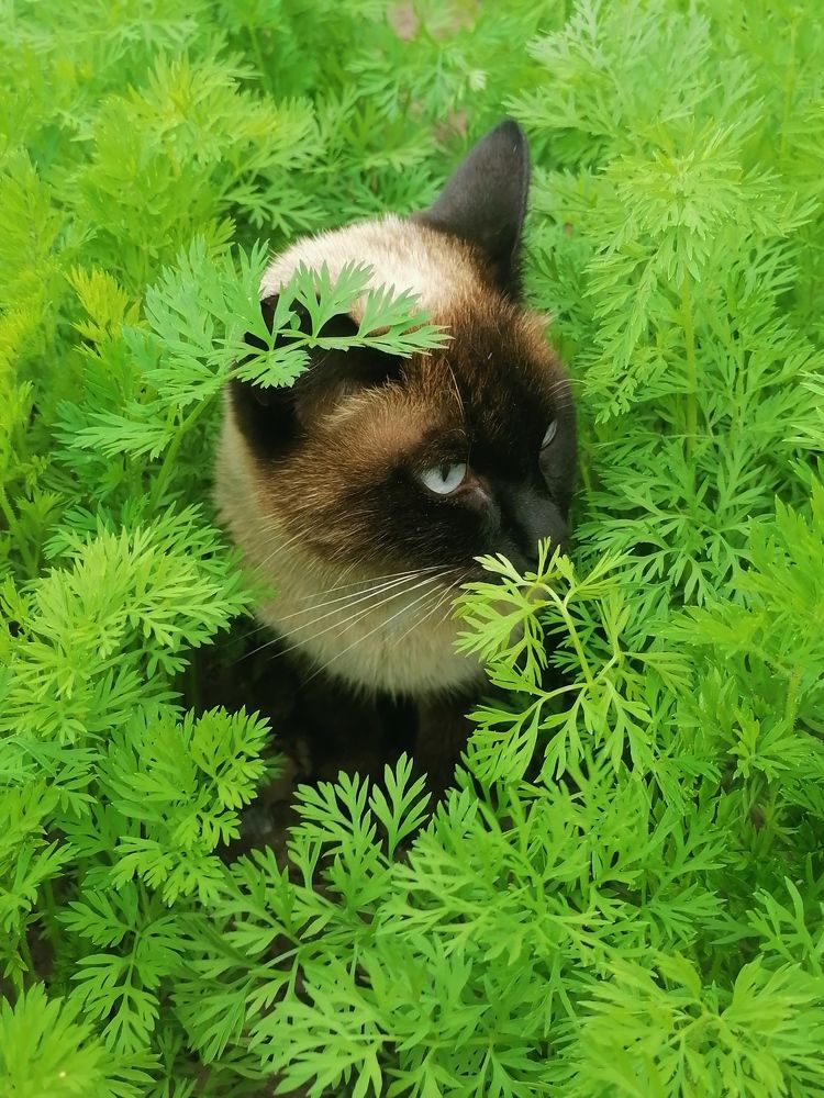 Photograph by Татьяна Бешенкина