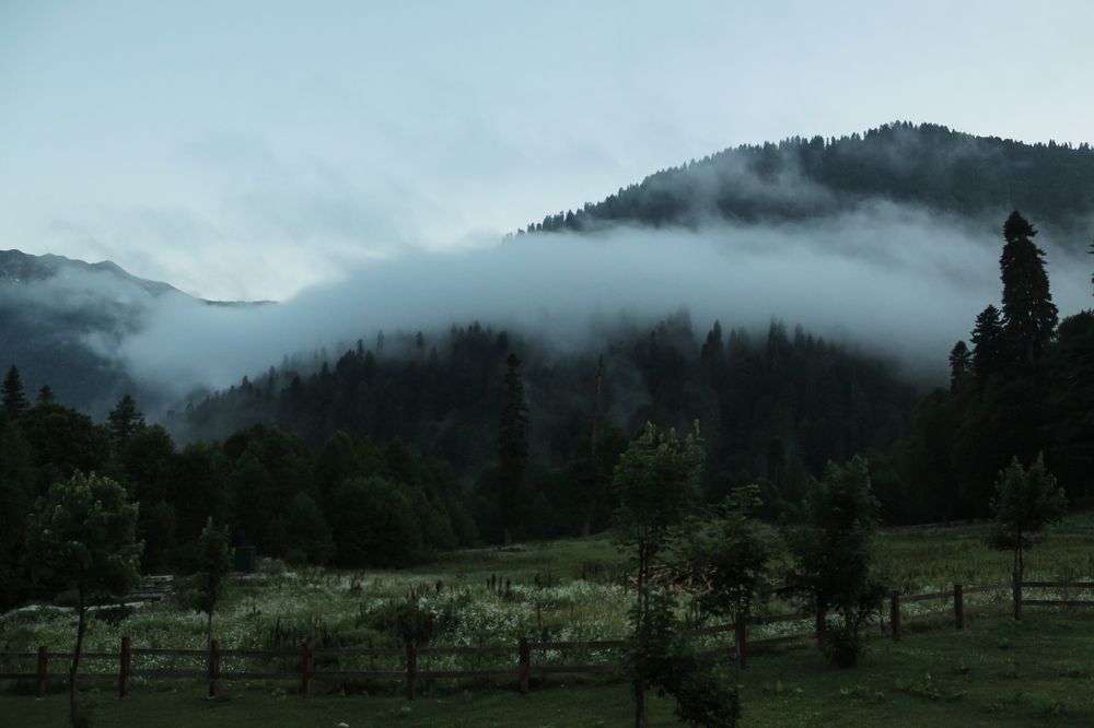 Photograph by Елизавета Цемко