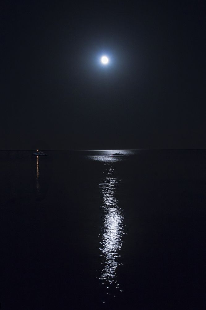 Photograph by Вячеслав Кровопусков