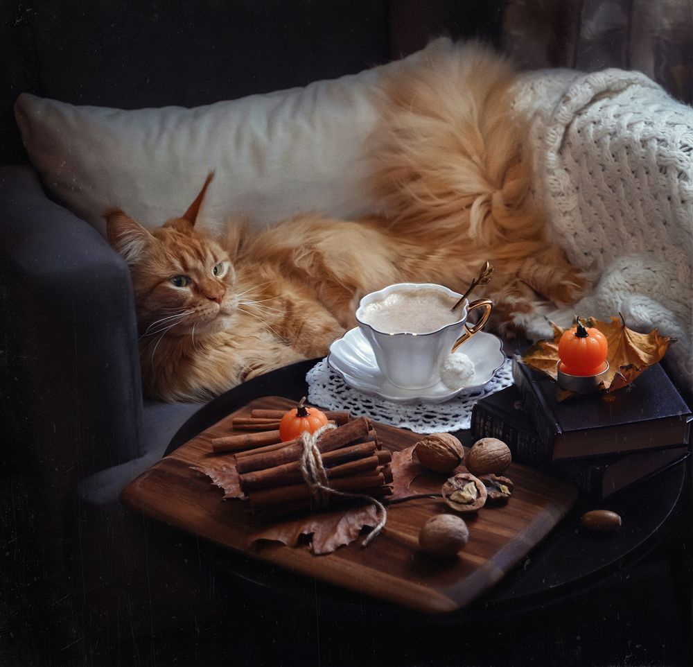 Осенний уют