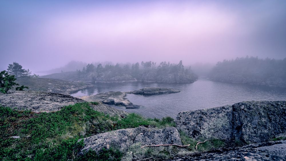 Фотография автора Васильев Андрей