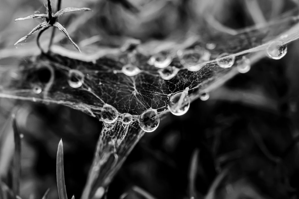 Photograph by Андрей