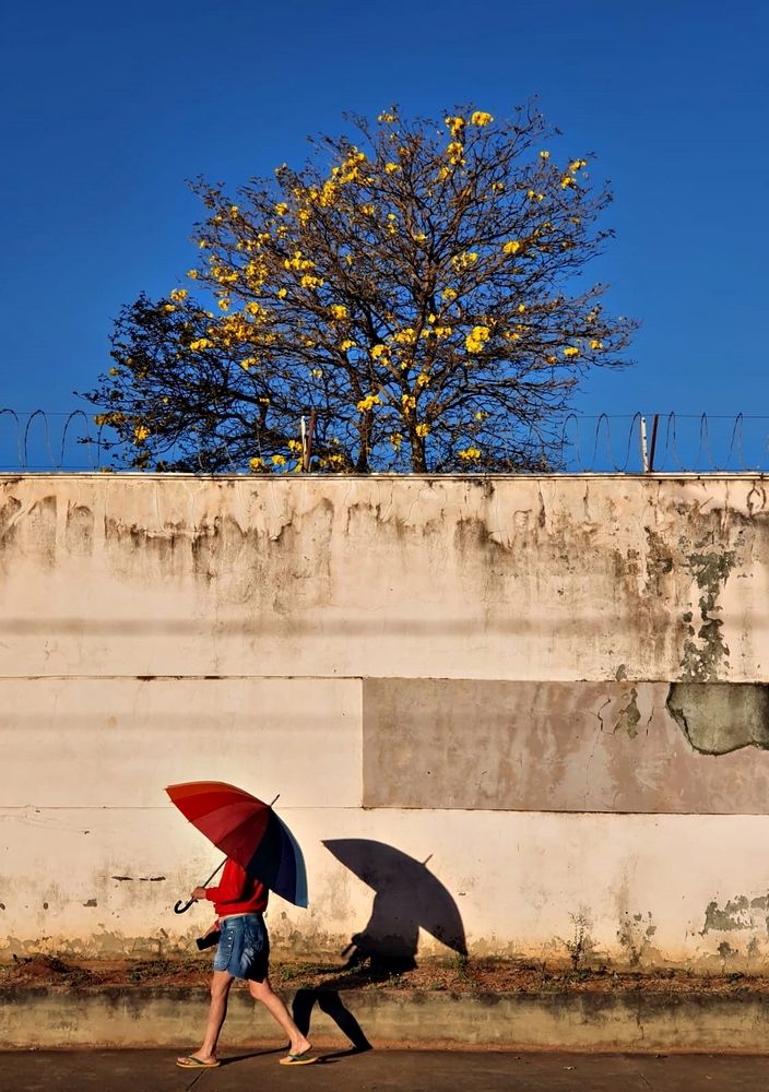 Photograph by Régis Santos