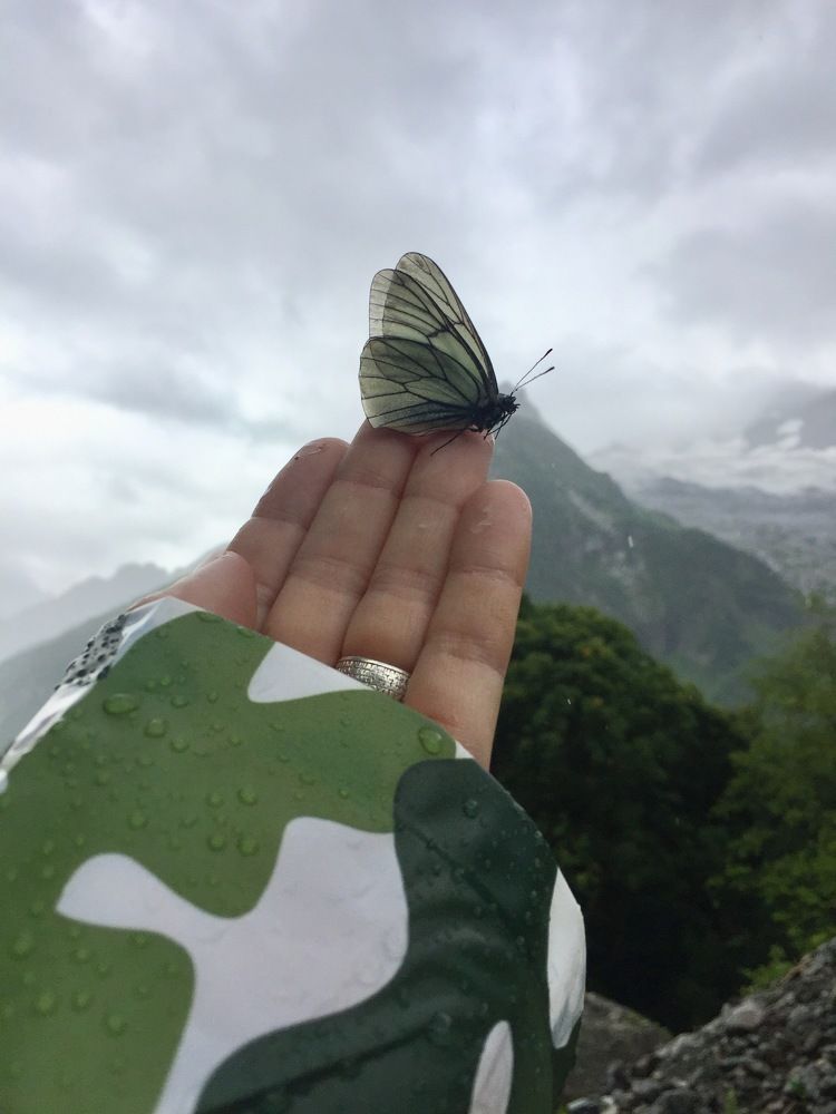 Photograph by Людмила Удальцова