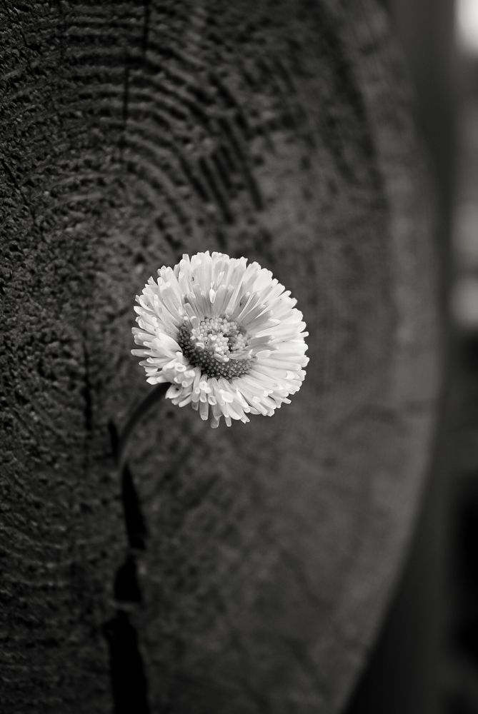 Photograph by МАРИНА