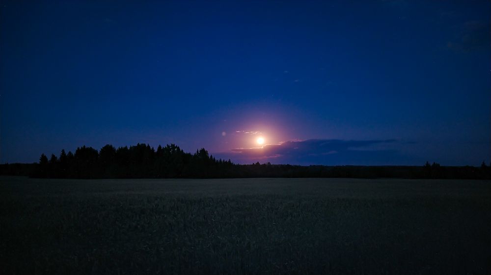 Photograph by Виталий Грачёв