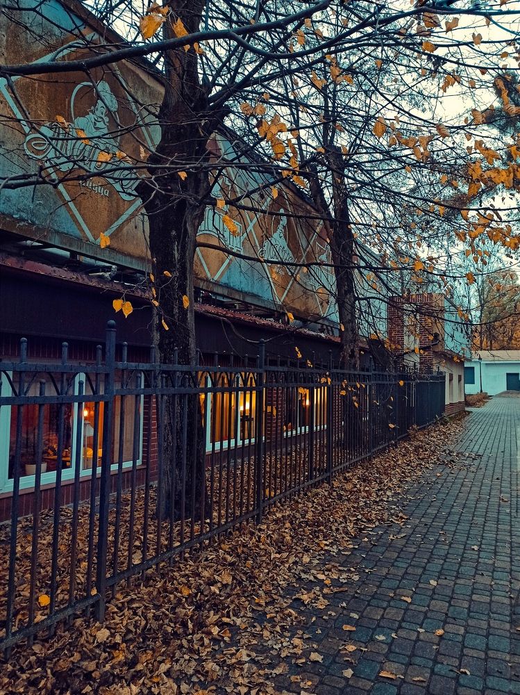 Photograph by Дина Полухина