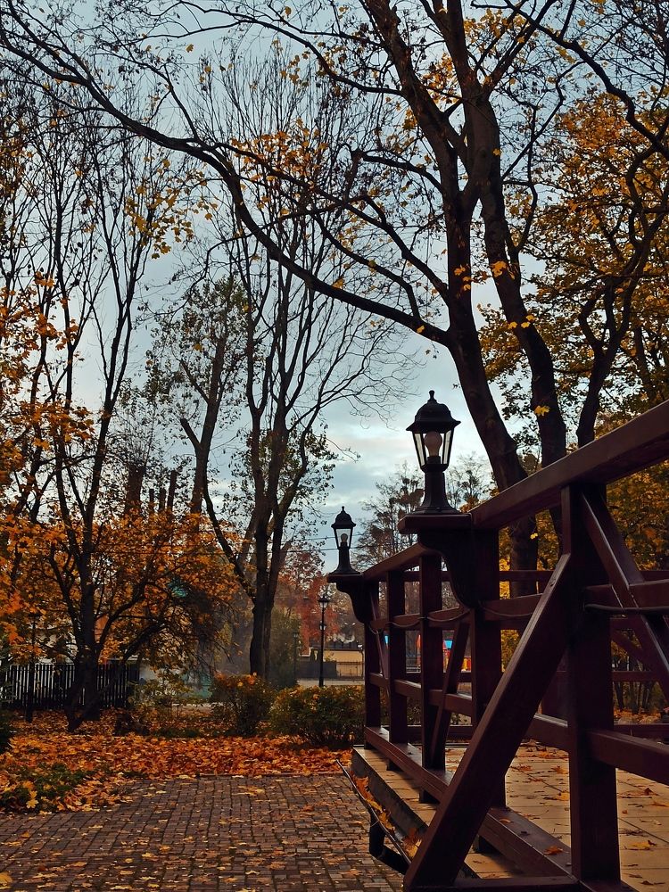 Photograph by Дина Полухина