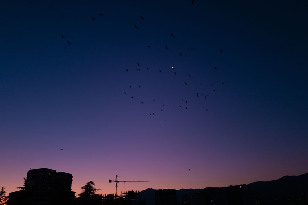 Photograph by Элиза Белицкая