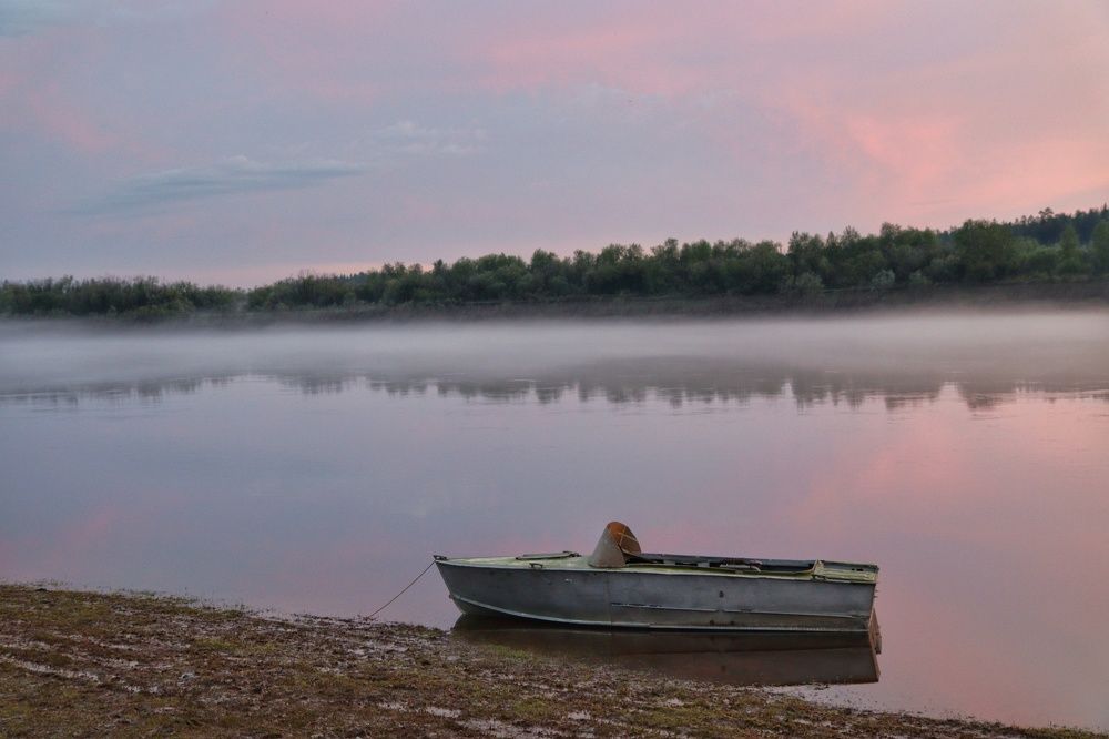 Photograph by Марина Кощеева