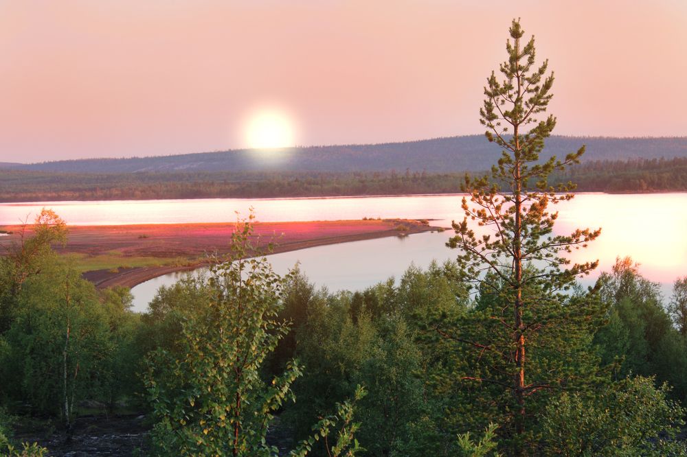 Photograph by Ирина Чечкина