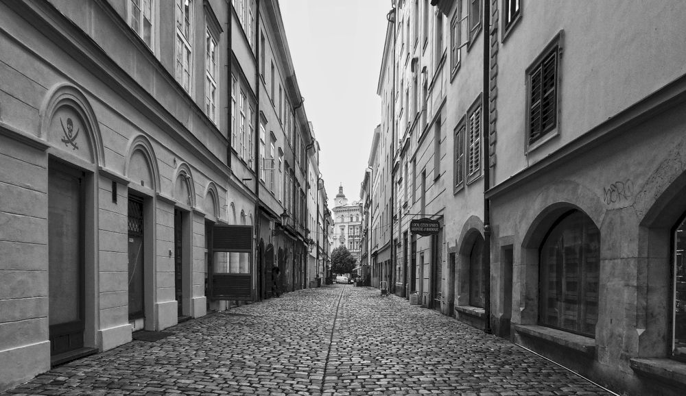 Photograph by Савоцкий Роман