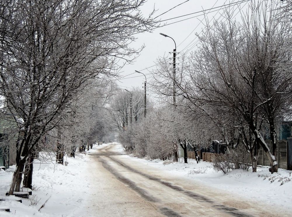Фотография автора Роман Савоцкий