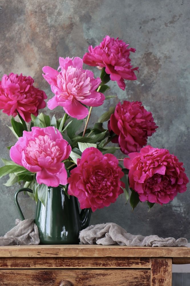 Мамины пионы