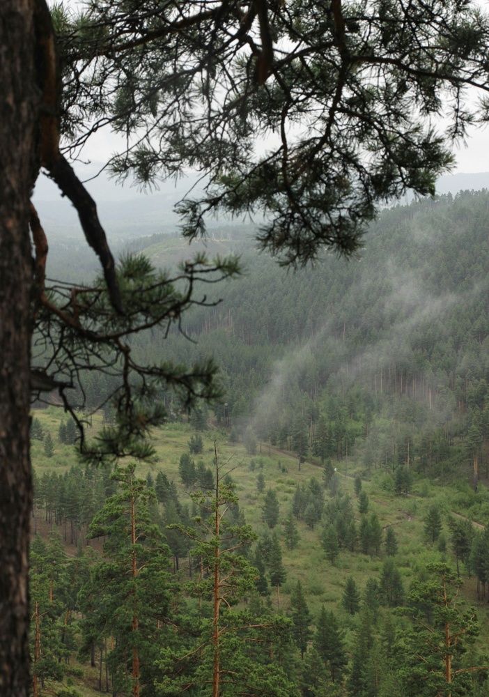 Photograph by Светлана Шелухеева