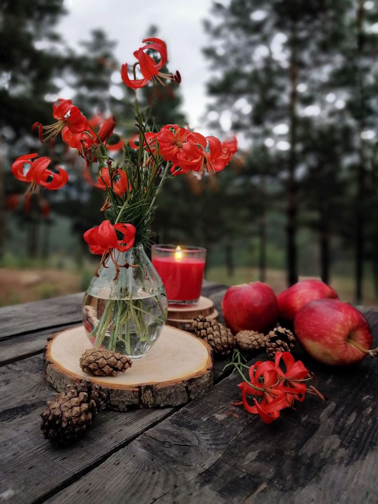 Photograph by Светлана Шелухеева