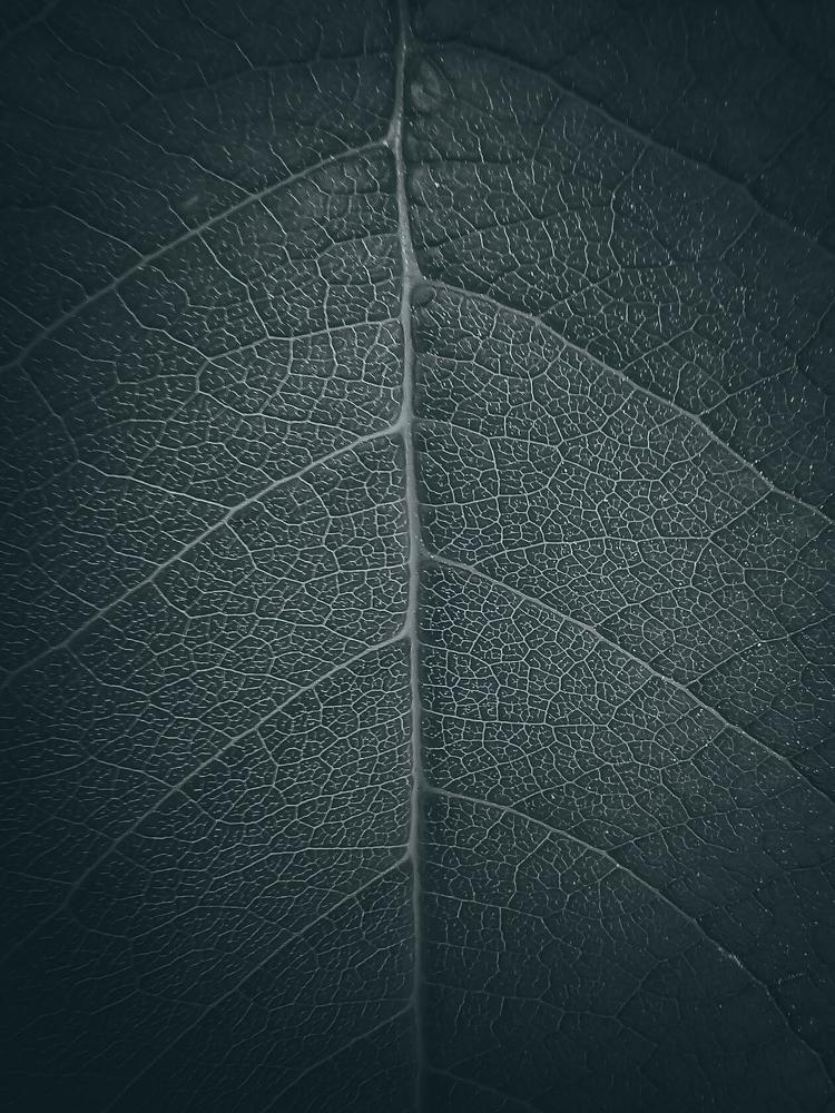 Photograph by Вадим Басов