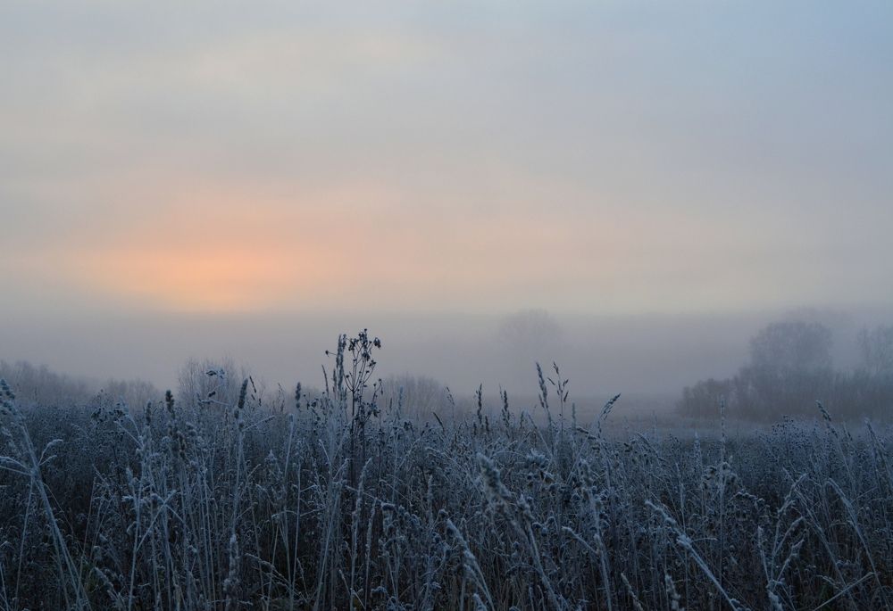 Photograph by Kirill Frolov