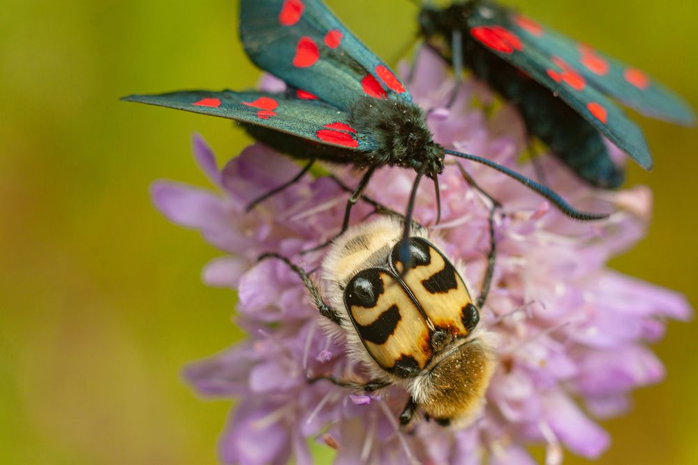 Photograph by Владислав Капанов