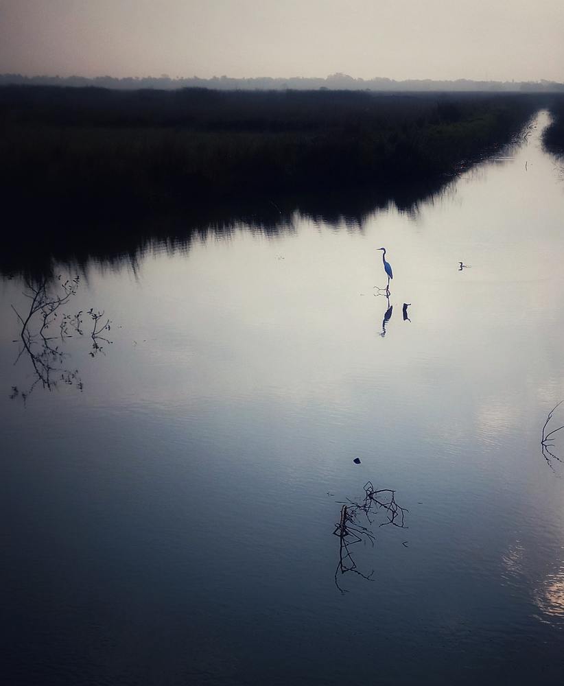 Photograph by Dipak kumar Das