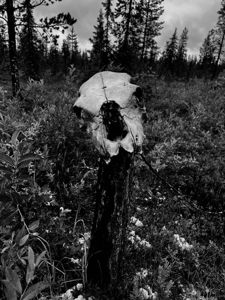 Photograph by Кирилл Рогов