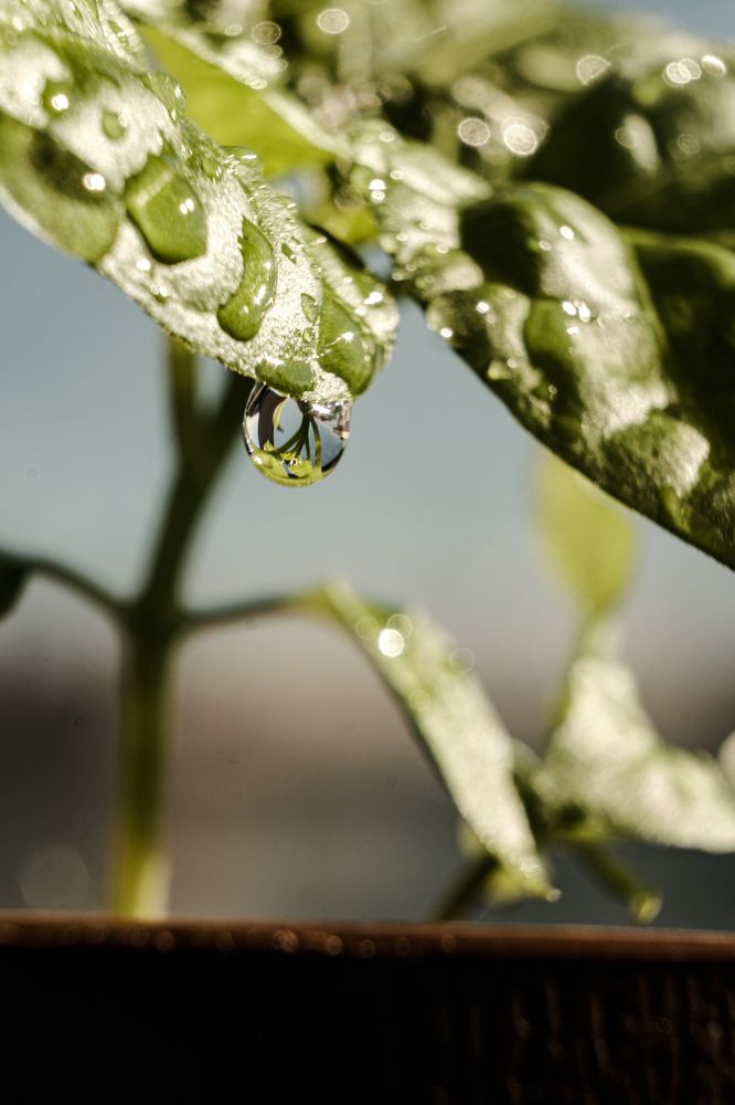 Photograph by Кирилл Рогов