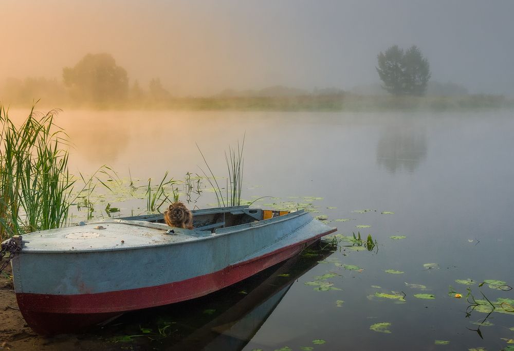 Photograph by Елена Потемина