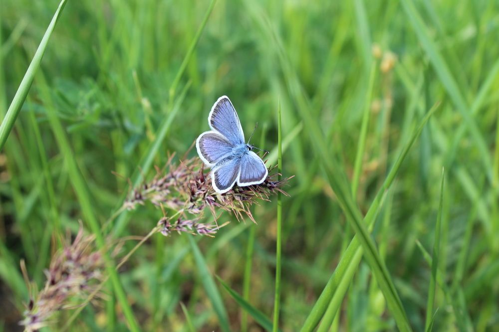 Photograph by Елена Кузнецова