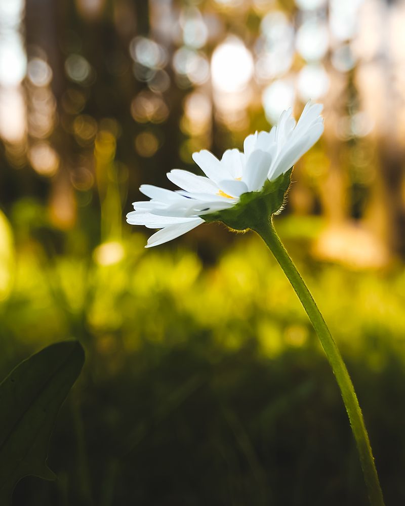 Photograph by Iryna Krotova