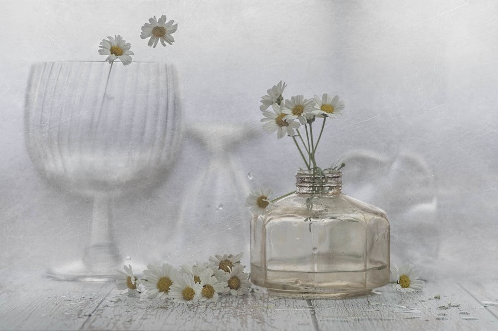 Photograph by Виктория Солодар