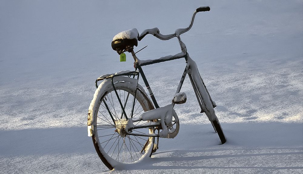 Loneliness is boring!