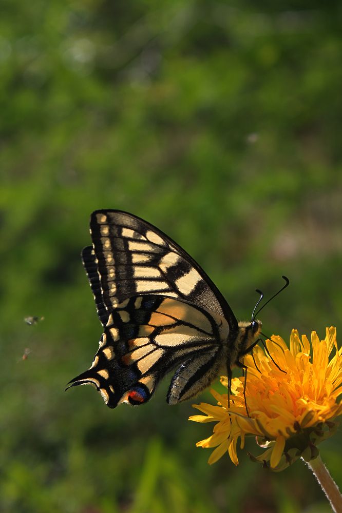 Photograph by Вероника Герасимова