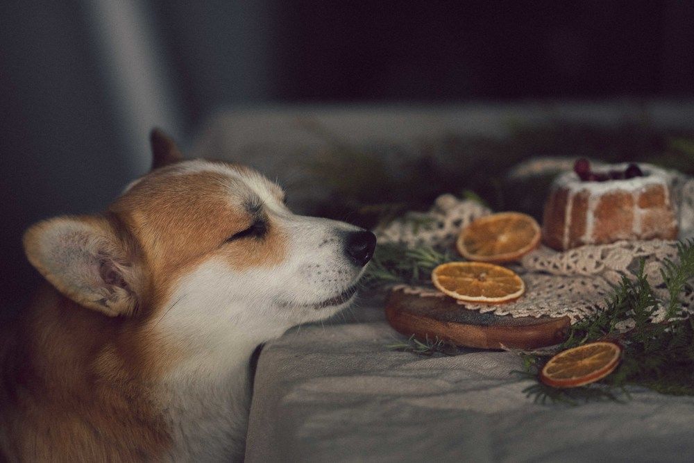 Photograph by Ирина Мороз