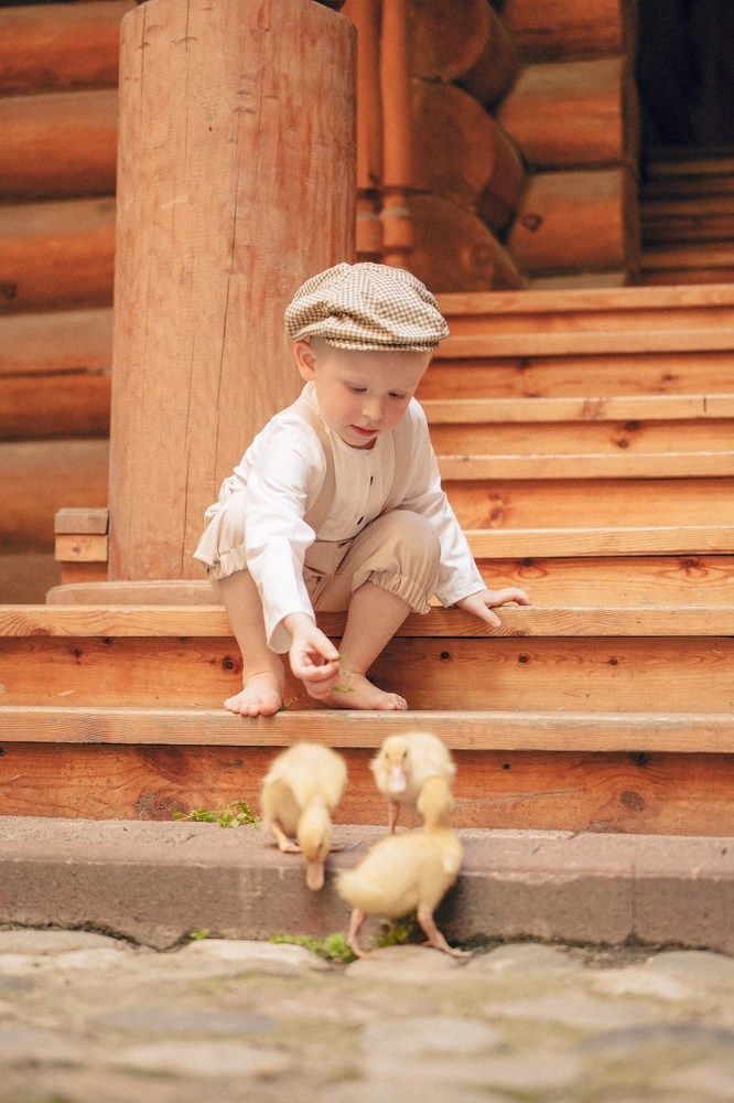 Дениска и утята