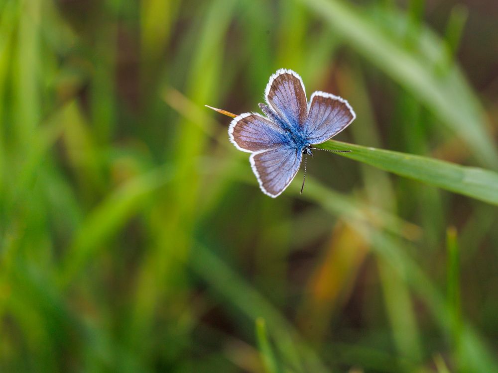 Photograph by Людмила Аксенова