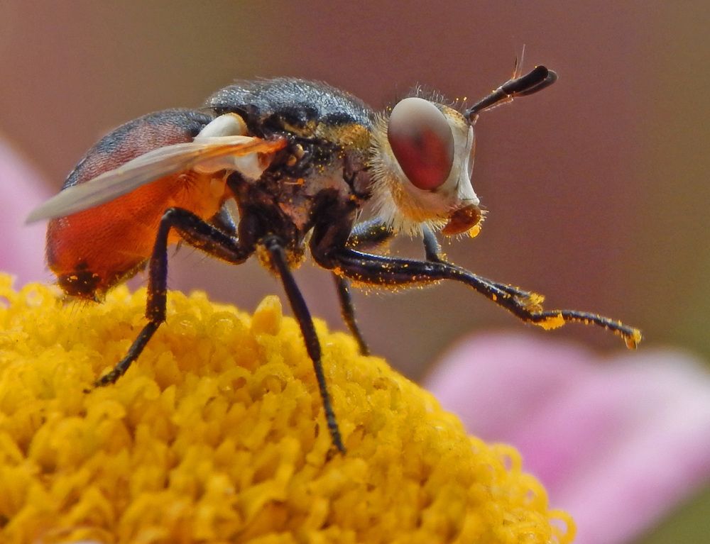 Photograph by Наталья Соколова