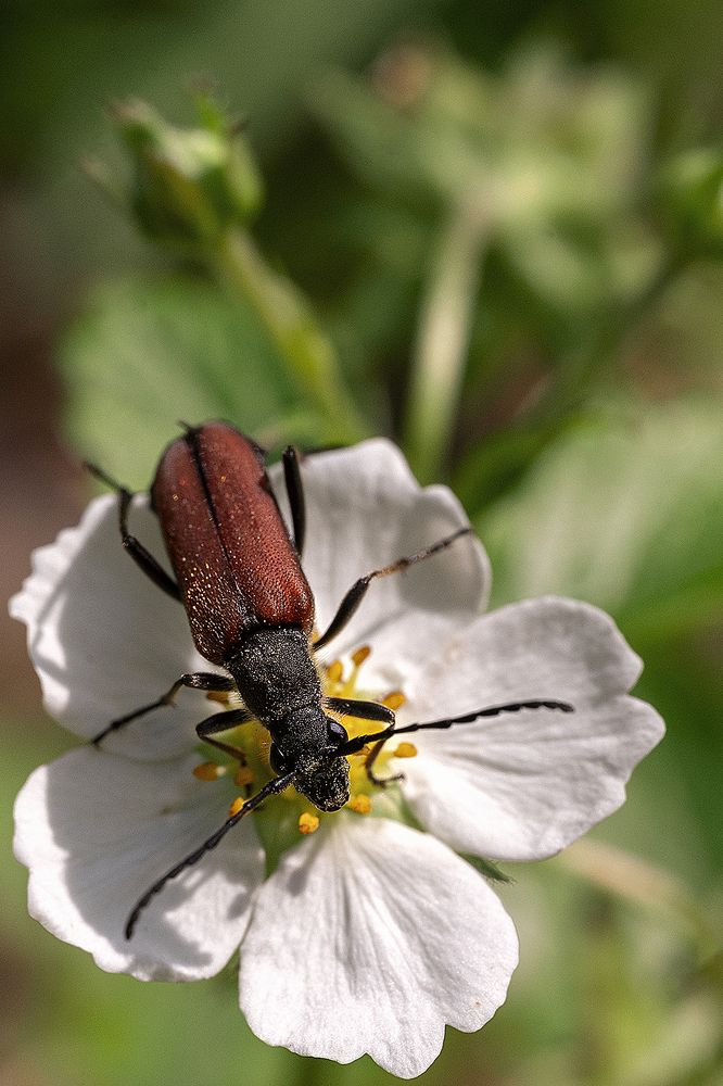 Photograph by Anna Sindikayeva