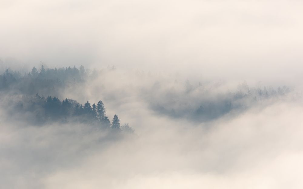 Photograph by Michael Schmidmeister