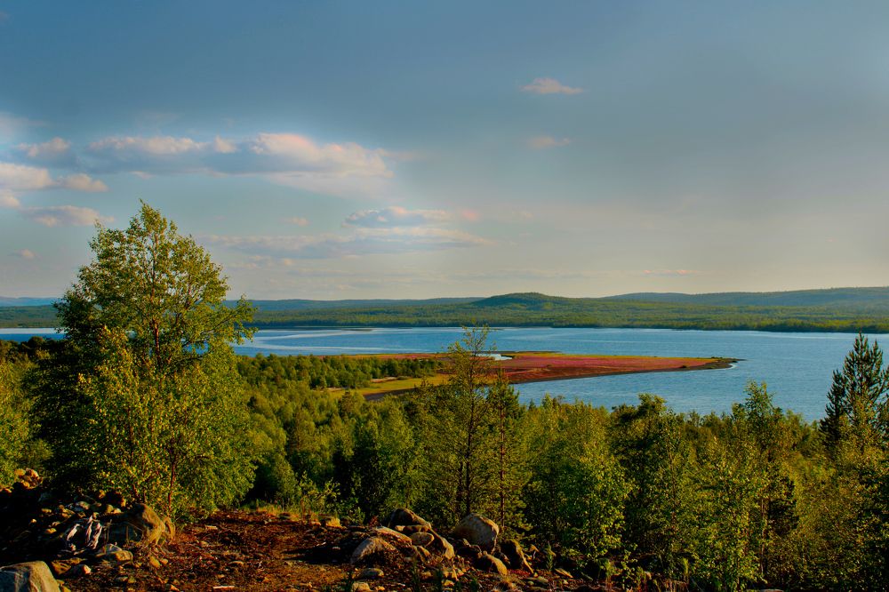 Photograph by Ирина Чечкина