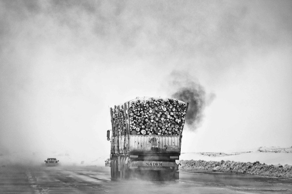 Photograph by amir ali navadeh shahla