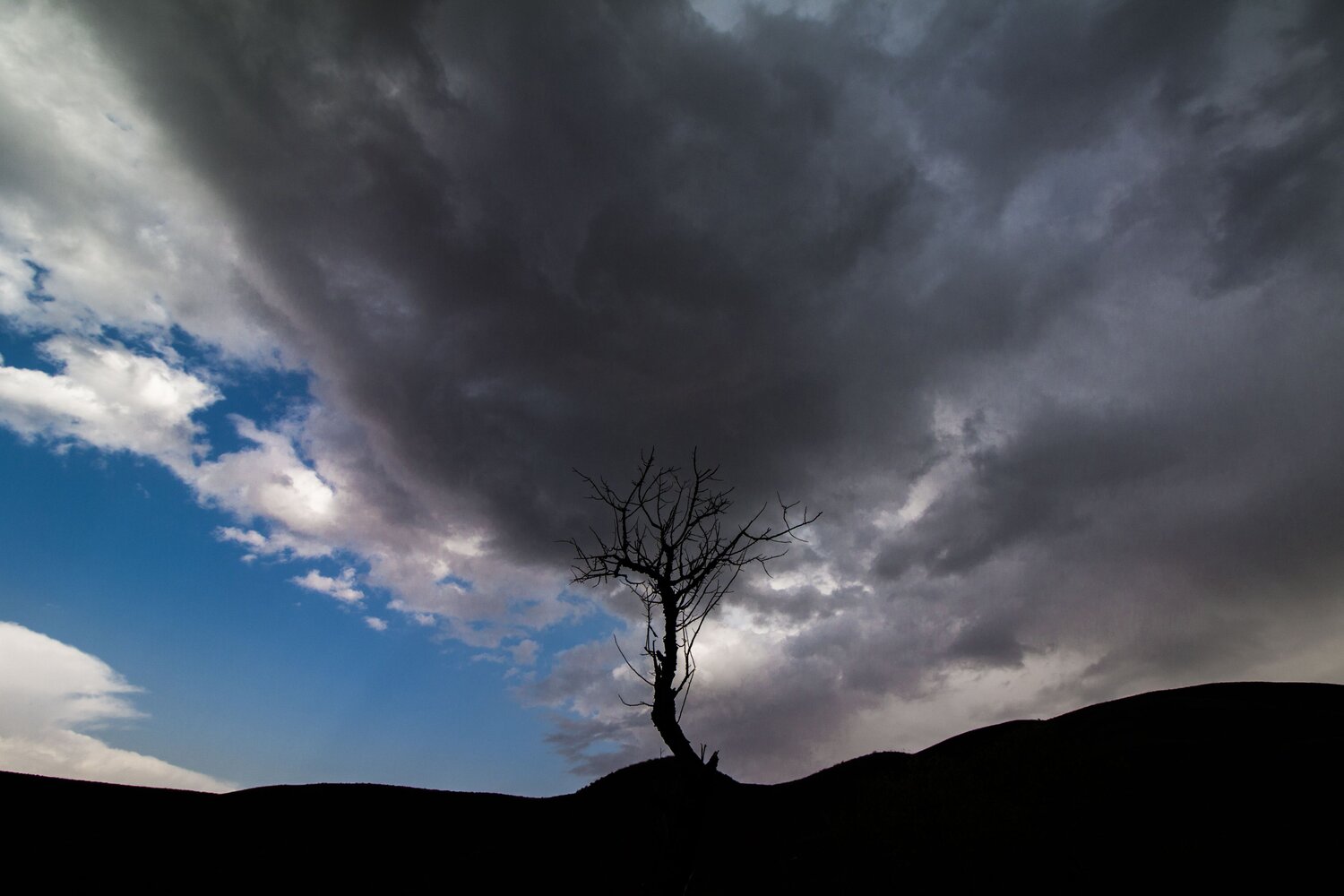 Photo #9312465