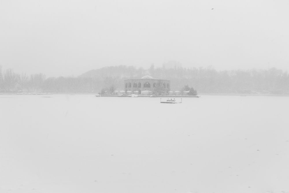 Photograph by amir ali navadeh shahla