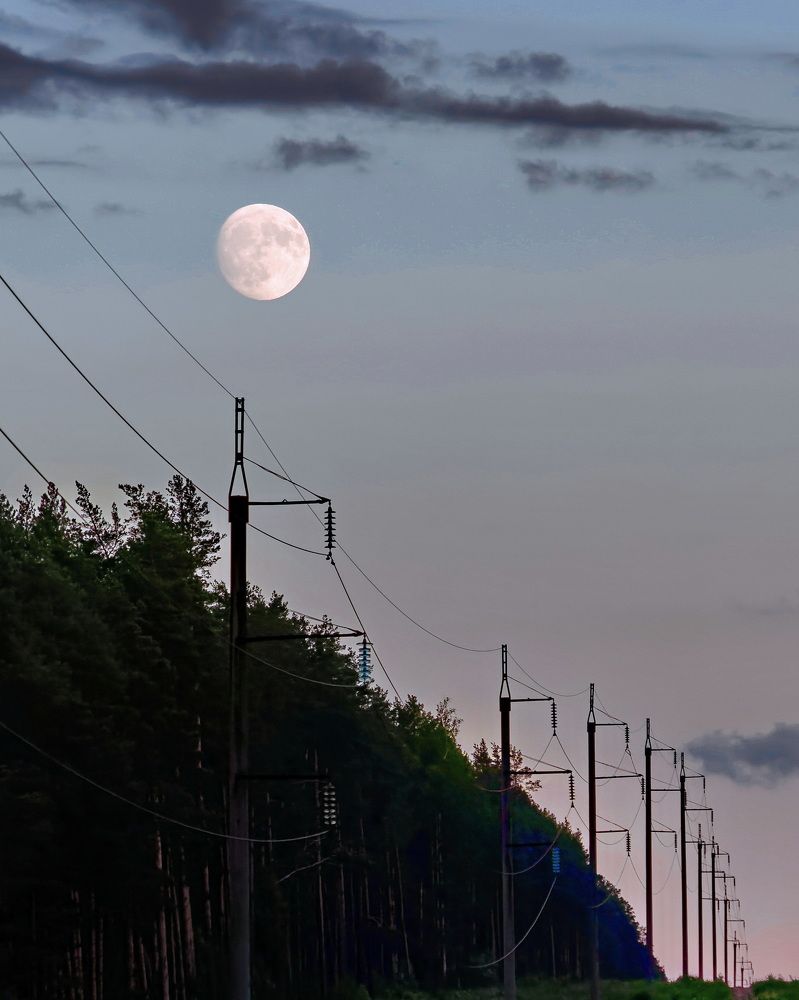 Photograph by Дмитрий Кузнецов